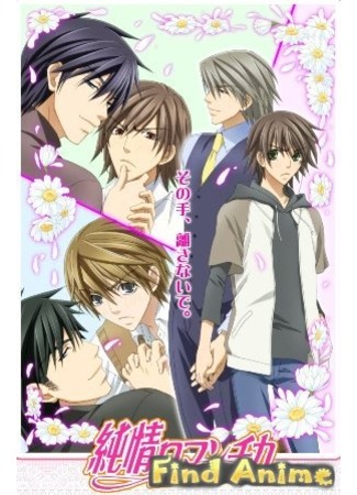 аниме Чистая романтика [ТВ-1] (Junjou Romantica) 21.11.11