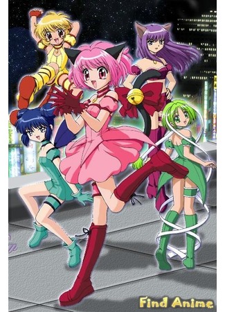 аниме Токийские Кошечки (Tokyo Mew Mew) 21.11.11