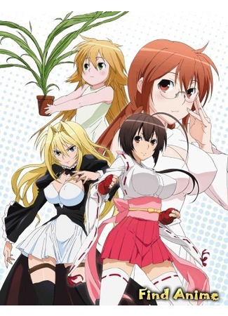 аниме Сэкирэй (Sekirei: セキレイ) 14.05.12