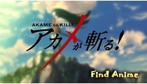 Akame ga Kill!