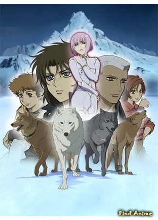 аниме Волчий дождь (Wolfs Rain: Wolf&#39;s Rain) 13.01.15