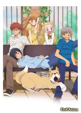 аниме Мед и клевер [второй сезон] (Honey and Clover II: Hachimitsu to Clover II) 10.05.15