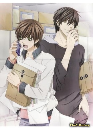 аниме Лучшая в мире первая любовь OVA (Sekai-ichi Hatsukoi OVA: Sekaiichi Hatsukoi OVA) 12.06.15