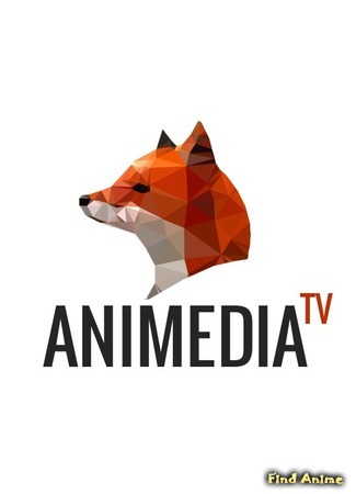 Переводчик Animedia 01.12.15