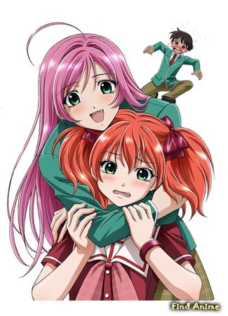 аниме Rosario + Vampire Capu2 [TV-2] (Крестик и Вампир [ТВ-2]: Rosario to Vampire Capu2) 09.12.16