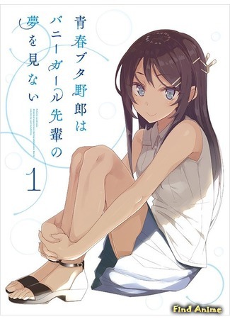 аниме Негодник, которому не снилась девушка-кролик (Rascal Does Not Dream of Bunny Girl Senpai: Seishun Buta Yarou wa Bunny Girl Senpai no Yume wo Minai) 04.11.18