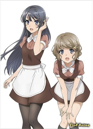 аниме Негодник, которому не снилась девушка-кролик (Rascal Does Not Dream of Bunny Girl Senpai: Seishun Buta Yarou wa Bunny Girl Senpai no Yume wo Minai) 01.12.18