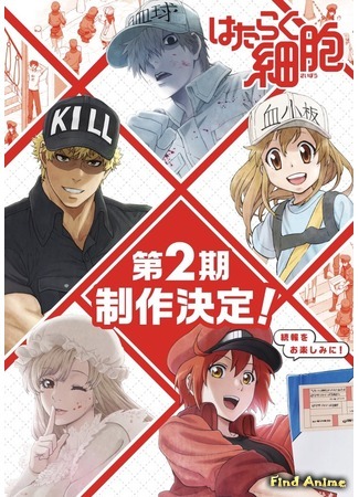 аниме Клетки за работой 2 (Cells at Work! 2: Hataraku Saibou 2) 23.03.19