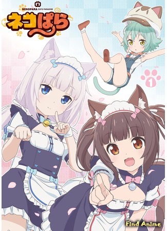 аниме Кошачий рай ТВ (Nekopara (TV): Nekopara) 13.03.20