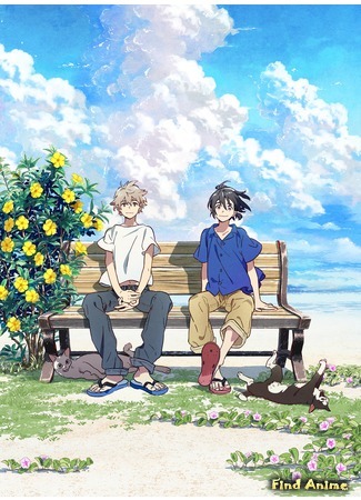 аниме Незнакомец на берегу моря (The Stranger by the Beach: Umibe no Etranger) 18.05.20