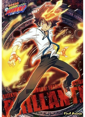 аниме Kateikyoushi Hitman Reborn (Учитель-мафиози Реборн! [ТВ]) 13.08.20