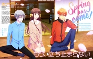 Fruits Basket the Final