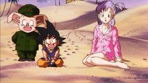 Dragon Ball: The Path to Power