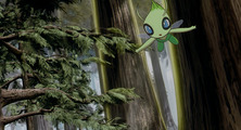 Pokemon 4Ever: Celebi - Voice of the Forest