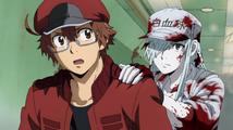 Cells at Work! Code Black