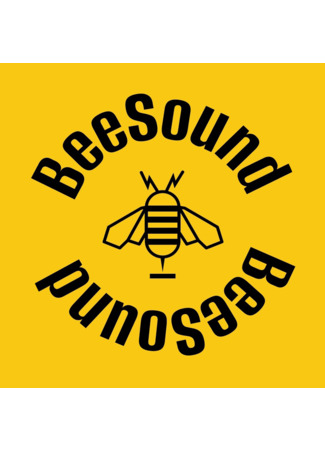 Переводчик BeeSound 14.09.24